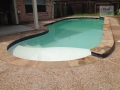 Freeform Pool with Tanning Ledge