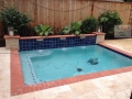 Geometric Pool with Raised Sheer Descents