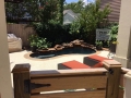 Freeform Pool with Rock Waterfall