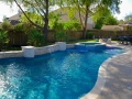 Freeform Pool with Raised Spa and Sheer Descent Wall