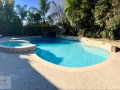 Freeform Pool with Raised Spa