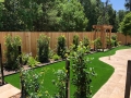 Backyard Landscaping