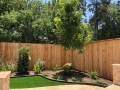 Backyard Turf and Landscaping